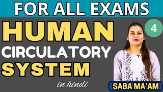 Human Circulatory System in Hindi  4  Biology  SSC  Railway CDS NDA Exams  Saba Maam [upl. by Firehs140]