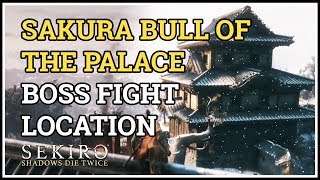 Where is Sakura Bull of the Palace Boss Sekiro [upl. by Alan69]