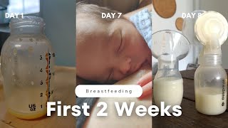 Tips for Breastfeeding  The First Two Weeks ENGORGEMENT MILK SUPPLY LATCHING NIPPLE PAIN [upl. by Elicul]