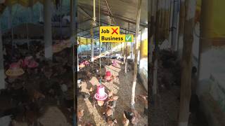 Poultry farm business llopen Poultry farm business plan training ytshorts poultryfarmbusiness [upl. by Wiese]