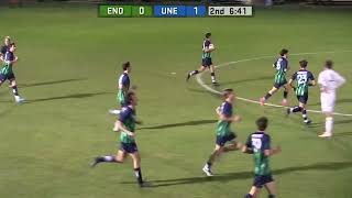 Endicott Mens Soccer Highlights vs UNE 102924 Fisher Mills x2 [upl. by Eesdnyl]