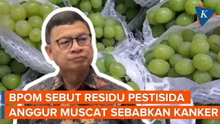 BPOM Ungkap Bahaya Residu Pestisida pada Anggur Muscat Bisa Sebabkan Kanker [upl. by Bohannon]