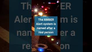 Fast Facts Amber Alert [upl. by Ayama400]