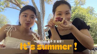 Vlog 🇦🇺  베프의 멜번 첫 방문 브이로그  퍼핑빌리 기차  사사프라스  해외살이 VLOG [upl. by Lesab149]