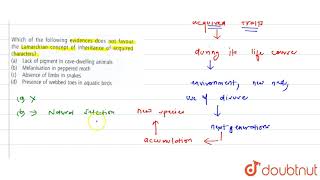 Which of the following evidences does not favour the lamarckian concept of inheritance of acquired [upl. by Learsiy556]