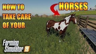 How To Take Care Of Your Horses amp Train Them  How To FS19  Tutorial  Farming Simulator 19 [upl. by Cleodell]