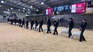 2024 Livestock Show Goats Show [upl. by Nancy191]