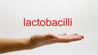 How to Pronounce lactobacilli  American English [upl. by Noiram]