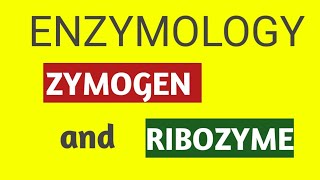 ENZYMOLOGYZYMOGEN AND RIBOZYME [upl. by Ynavoj855]