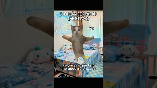 Un día feriado festivo gatitos shorts storytime humor memes [upl. by Solegna]