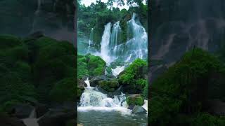 Sham bhi khud hai shortsfeed waterfall travel bollywood ytshorts [upl. by Rosenbaum405]