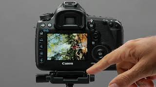 Canon DSLR Tutorial  AF Point Display [upl. by Haya860]