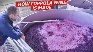 How One of Californias Biggest Wineries Produces Over 12 Million Bottles per Year — Dan Does [upl. by Nirmak242]