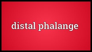 Distal phalange Meaning [upl. by Ahsai]