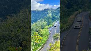 The Epic Drive Maui’s Road to Hana Adventure  Maui Hawaii [upl. by Judon]