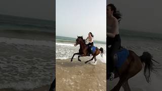 Horse gallop at the beach horse riding horseride horseriding horsebackriding horselover beach [upl. by Colburn194]