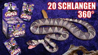 Planet Wow  alle 20 Snakes  Schlangen aus der Sammlung in 360°  ohne Heftbeilagen [upl. by Alamap]