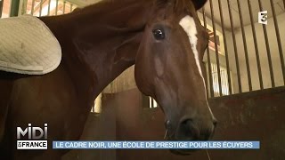 ANIMAUX  Le Cadre Noir une école de prestige pour les écuyers [upl. by Aeriell]