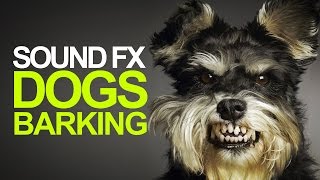 DOGS BARKING  Sound Effects High Quality [upl. by Aekim]