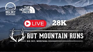 2024 The Rut 28K LIVE [upl. by Knorring992]