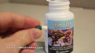 Fish Flex Cephalexin 250 mg Fish Antibiotic [upl. by Khai]