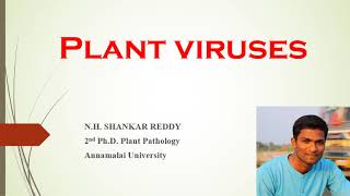 Plant Virus  Morphology  Tobacco Mosaic Virus  Plant Pathology  BSc Agriculture [upl. by Myca]