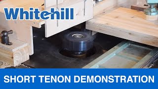 Short Tenon Demonstration [upl. by Nnaycart]