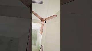 Ceiling fan ceilingfan shorts [upl. by Gowrie]