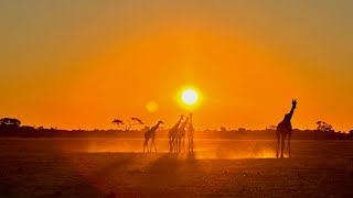 Deserts and Delta in Botswana [upl. by Sadinoel]