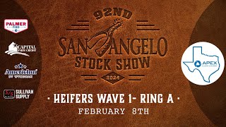 February 8  Heifers Wave 1 Ring A [upl. by Garik]