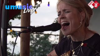 The Common Linnets  We Dont Make The Wind Blow  Live  Tuckerville 2017  NPO Radio 2 [upl. by Oiludbo]