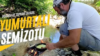 The World’s Best Yumurtalı Semizotu Recipe  How To Make It [upl. by Cardon]