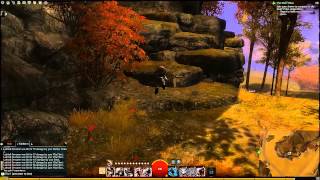 Guild Wars 2 Plains of Ashford Vista  Phasmatis Corridor [upl. by Adnauq]