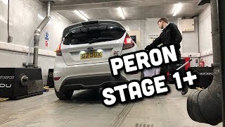 FIESTA ST180 TUNING REMAP STAGE 1 PERON TUNING TWO MINUTE TUESDAY [upl. by Enilav592]