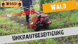 Wald aufforsten  Unkrautbekämpfung an den Jungbäumen  Fräsen Honda F560  Kleintraktor [upl. by Narine43]