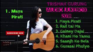 Trishna gurung songsHits top 6 songsTrishna GrgGurung [upl. by Aseeral637]