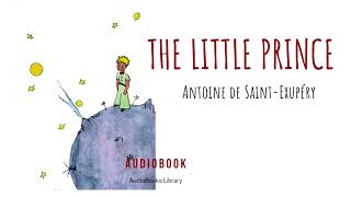 THE LITTLE PRINCE BOOK REVIEW [upl. by Yrrac]