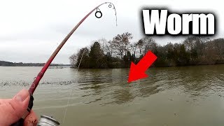 Fishing With Live Worms  Easy Ways to Find Fish From the Bank [upl. by Slavic]