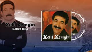 Xelîl Xemgîn  Sebra Dila Official Audio [upl. by Rochella]