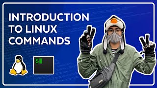 Introduction to Linux amp Terminal Commands  Full Course for Beginners [upl. by Trainor]