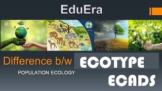 Ecotypes and Ecads in English  Population ecology in English [upl. by Hung635]