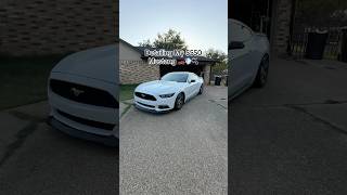 Detailing My S550 Mustang 🏎️💨🫧  Foam Cannon  BlackLine  DIY Detailing [upl. by Ethelin656]