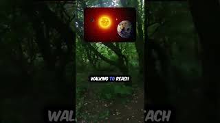 The Distance From The Earth To The Sun☀ education facts shorts [upl. by Tullus900]