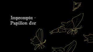 【BGM】Impromptu  Papillon dor Cello Trio Ver [upl. by Nylkoorb]