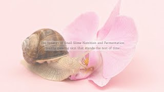 BSNEULHYEYUM quotFermented Snail Moisturizing Tonerquot [upl. by Ruphina]