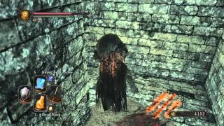 Dark Souls 2 SotFS PS4  Shaded Woods  all way to Scorpioness Najka [upl. by Zeeba]