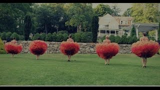 MOMIX Marigolds in the Garden [upl. by Horbal99]