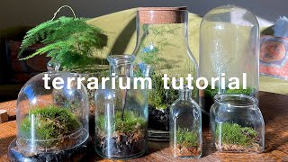 How to make a closed terrarium and basic care  easy tutorial [upl. by Ahsiram]