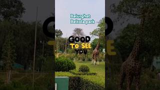 Balurghat beltola park shorts  YouTube shorts  🏞️ [upl. by Nodnart240]