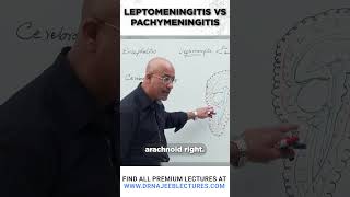 Leptomeningitis vs Pachymeningitis [upl. by Giordano]